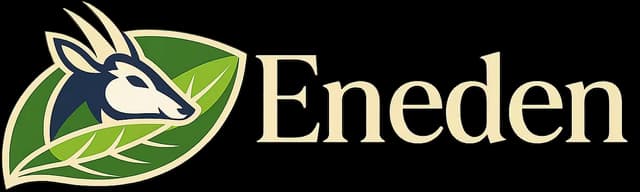 Eneden